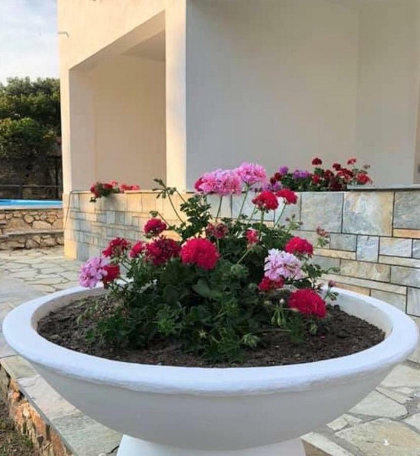 Villa Spartias Skiathos Exterior foto